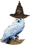 hedwig hat